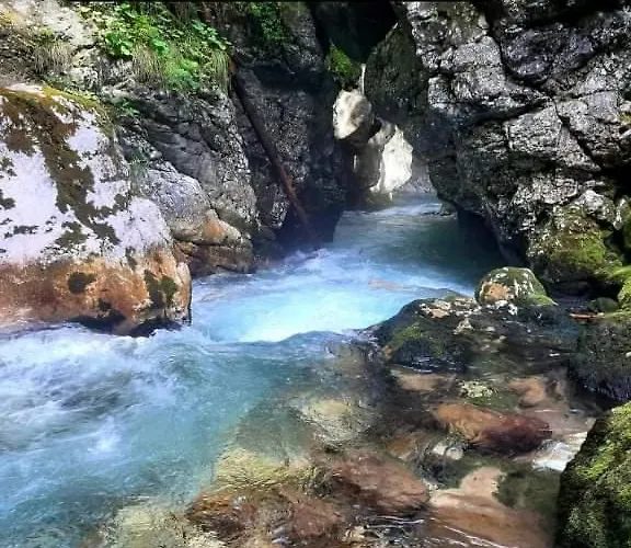 Lexi Zen House 卡姆尼克